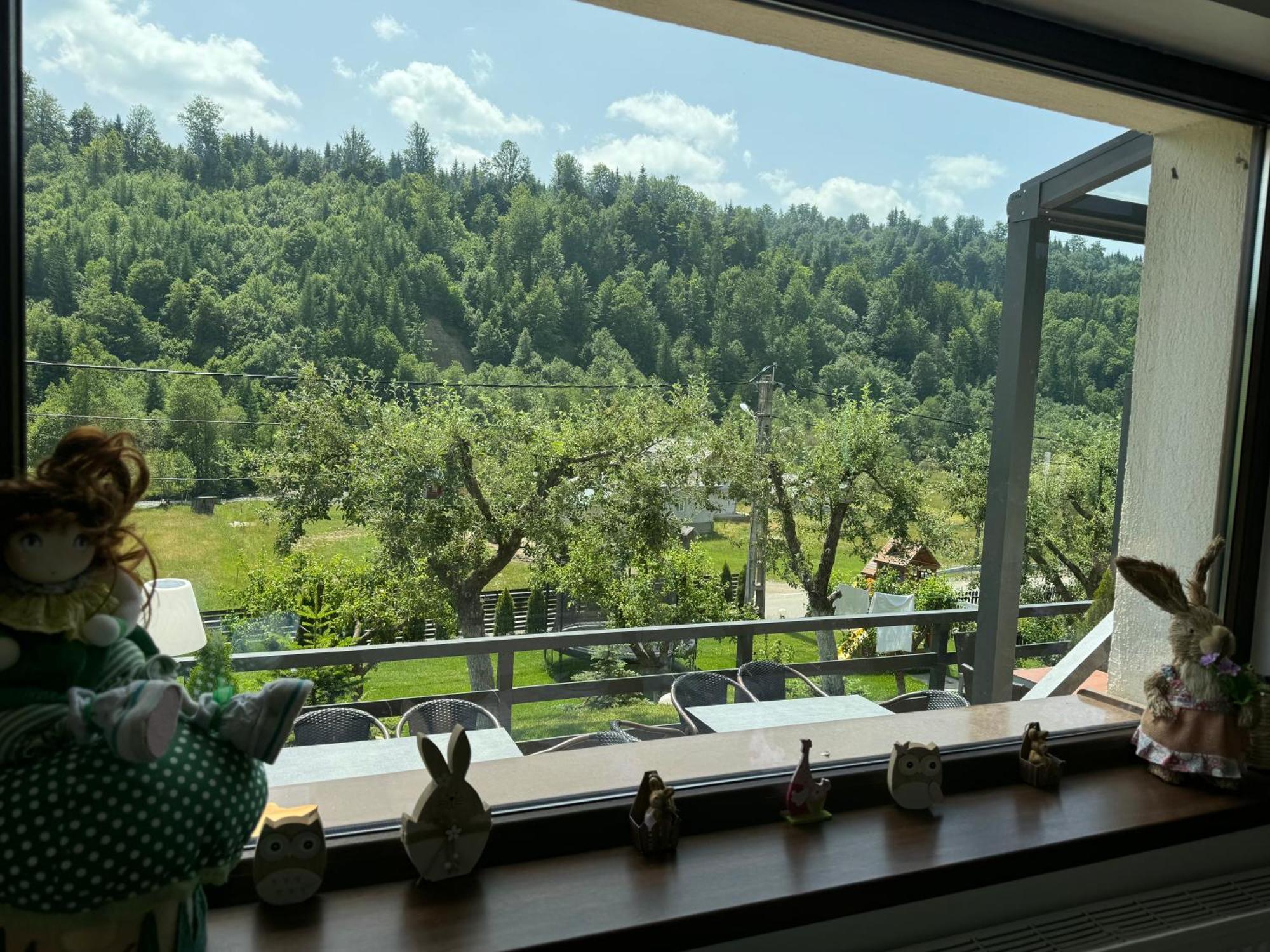 Cazare Colibita Casa Lipan Ngoại thất bức ảnh