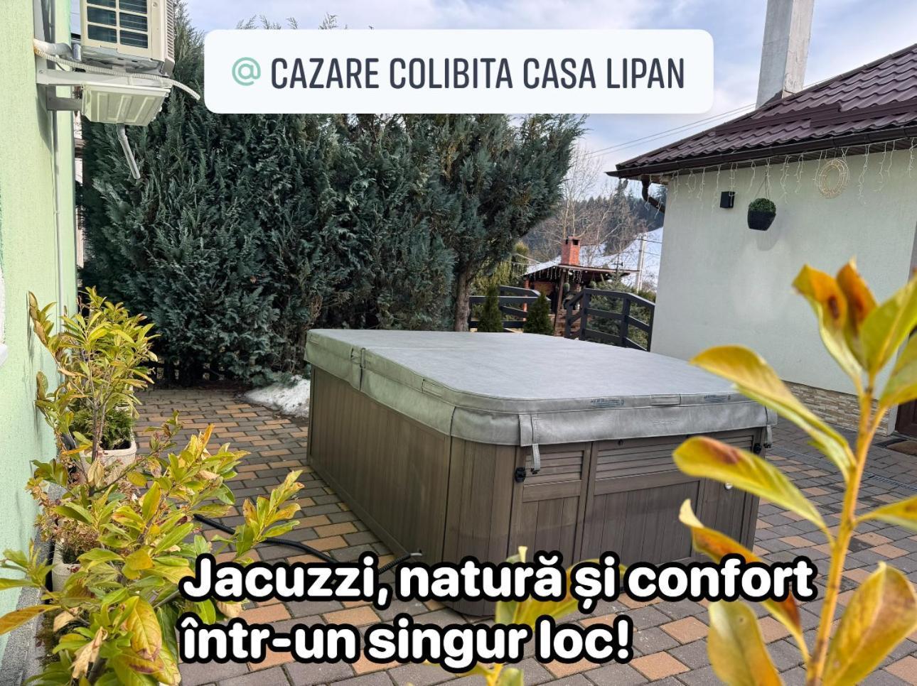 Cazare Colibita Casa Lipan Ngoại thất bức ảnh